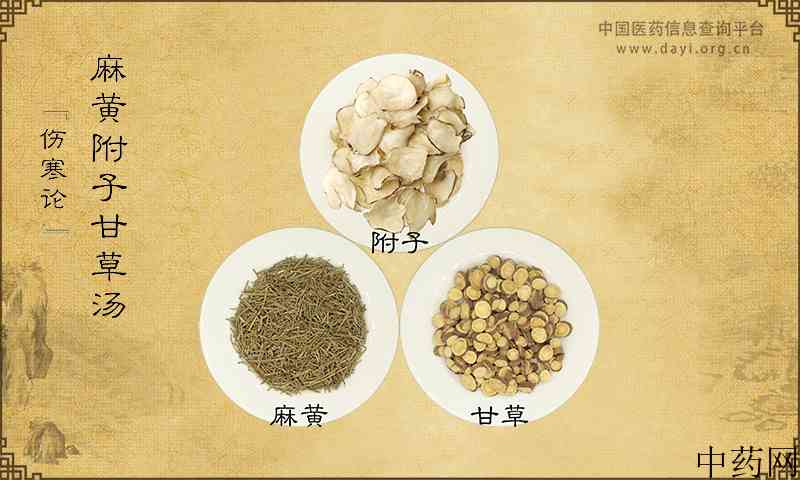 麻黄附子甘草汤