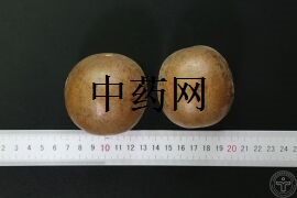 YP-罗汉果-1.JPG