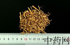 YP-龙胆-0.JPG