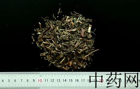 YP-墨旱莲-0.JPG