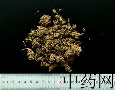 YP-密蒙花-0.JPG