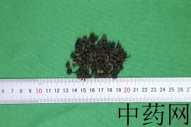 YP-荜澄茄-0.JPG