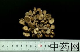 YP-川牛膝-0.JPG