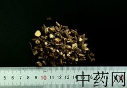 YP-柴胡-0.JPG