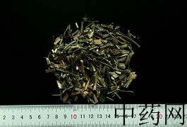 YP-穿心莲-0.JPG