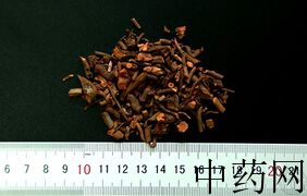 YP-茜草-0.JPG