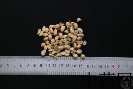 YP-大豆黄卷-0.JPG