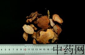 YP-土茯苓-0.JPG