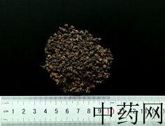 YP-吴茱萸-0.JPG