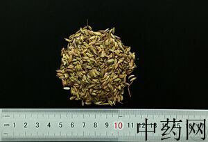 小茴香功效