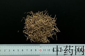 YP-细辛-0.JPG