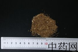 YP-鹤虱-0.JPG