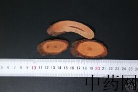 YP-黑老虎根-0.JPG