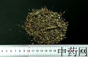 荆芥穗功效