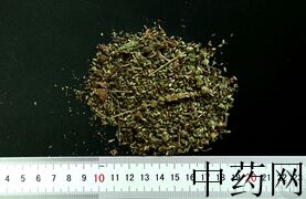 YP-荆芥穗-0.JPG