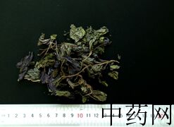 YP-紫苏叶-0.JPG